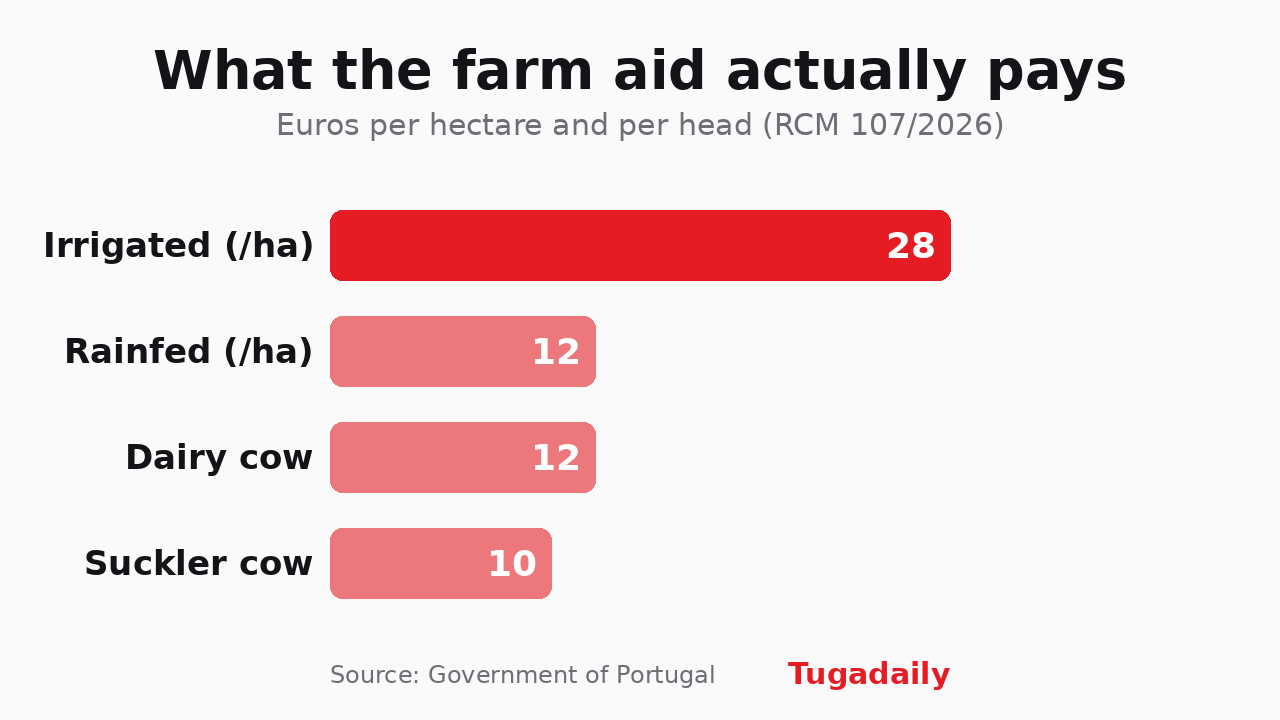 Tugadaily chart: €28 per irrigated hectare, €12 rainfed, €12 per dairy cow and €10 per suckler cow