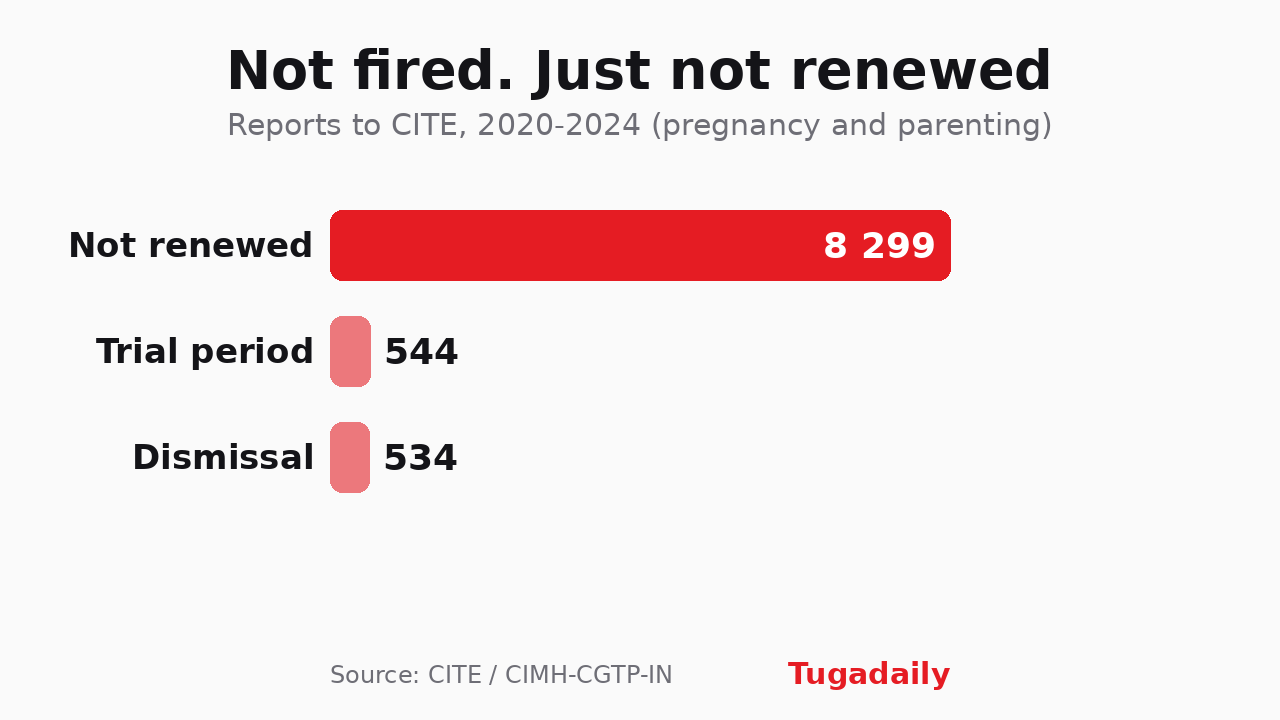 Chart of reports filed with CITE between 2020 and 2024: 8,299 non-renewals, 544 trial-period terminations and 534 dismissals