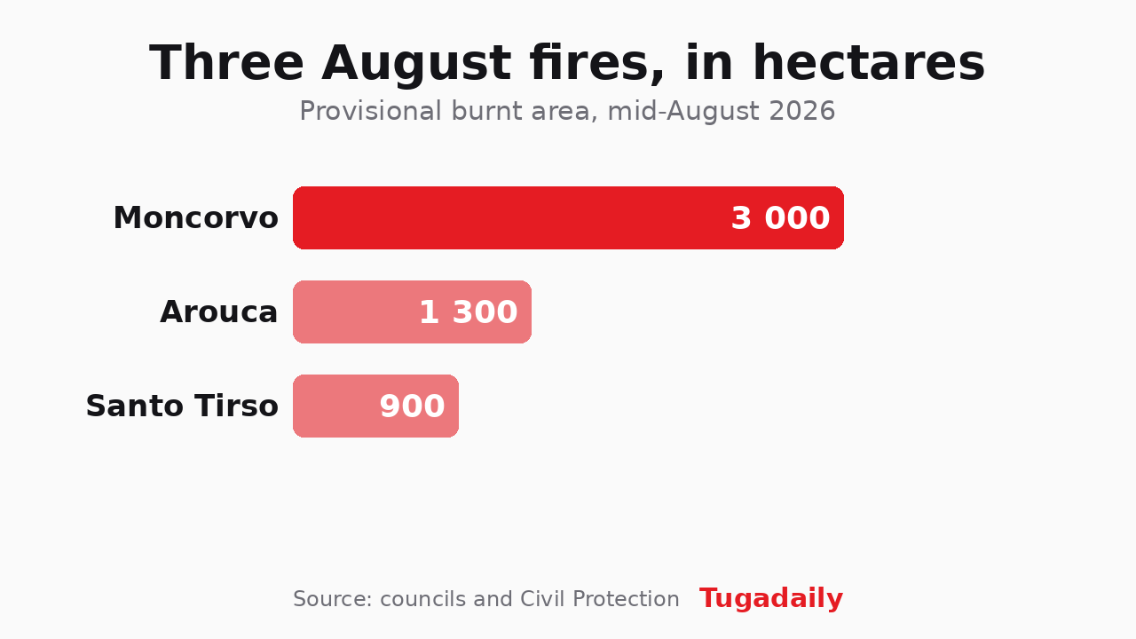 Tugadaily chart of the provisional burnt area of the three mid-August 2026 fires: Moncorvo 3,000 hectares, Arouca 1,300 and Santo Tirso 900